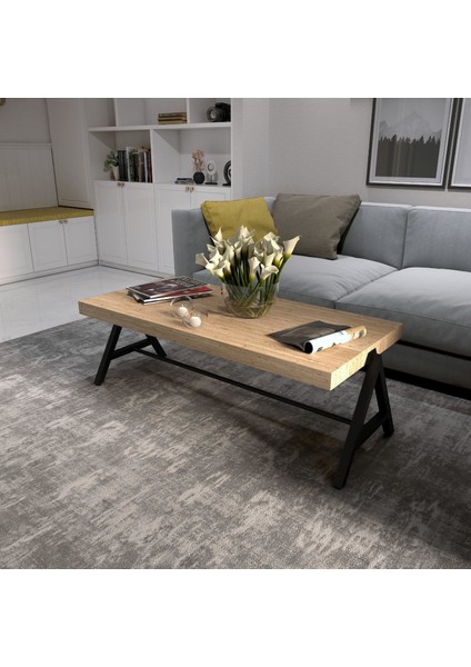 Dekoratif Ahşap Orta Sehpa Metal Sehpa Siyah modelleri