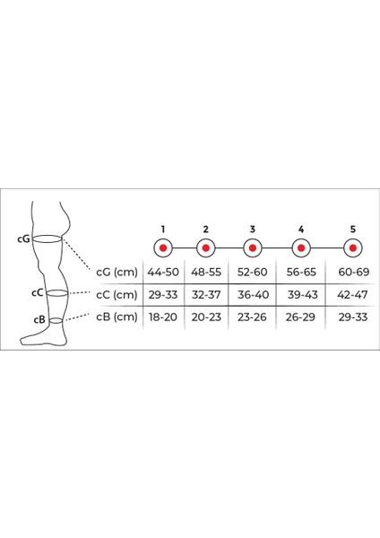 Diz Üstü Ccl I Destek Çorabı (Kapalı Burun) 931