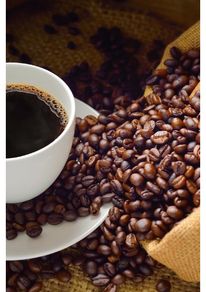 Kenya Aaplus 250 gr Kahve