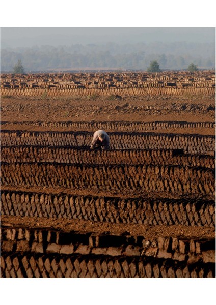 Cocopeat Hindistan Cevizi Kabuğu Kokopit Blok 5-6 kg 65-80 Lt