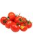 Domates Ozel Arılı 1 kg 1