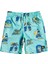 island Pulse 14 Çocuk Volley Short EQBJV03342 1