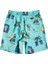 island Pulse 14 Çocuk Volley Short EQBJV03342 2