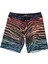 Sundays Airlite Erkek Boardshort 1