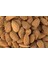 Tuzlu Badem Yerli 250 gr 2