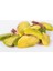File Antep Fıstığı 500 gr 3