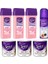 Roll-On Ağda Hassas Cilt 3X100ML + Ağda Bezi 3X10MT + Ağda Temizleyici Bakım Yağı 150ML 1