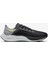 Air Zoom Pegasus 38 2