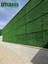 Çitgrass Çim Li Çit 80 cm x 19M 4
