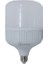 40W Torch Ampul (Günışığı) ECN-8008 1