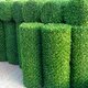Çit Grass Çitgrass Çim Li Çit 130 cm x 10M
