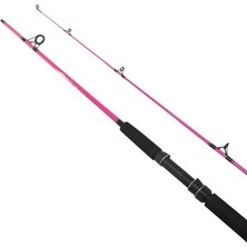 Fladen Festival 2p 10-30G Pembe Kamış 180 cm