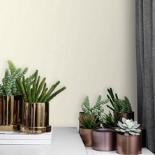 Adawall 5805-5 Duvar Kağıdı Kalinka Koleksiyonu