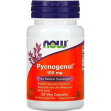 Now, Pycnogenol, 100 Mg, 60 Veg Capsules
