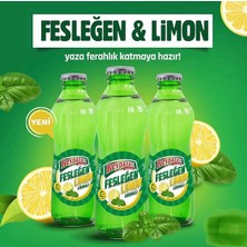 Beypazarı Fesleğen ve Limon Aromalı Maden Suyu 6'lı 200 ml