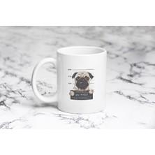 Pazariz Pug Kupa Bardak