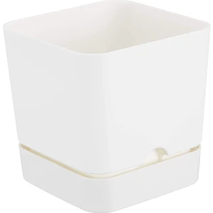 MF Botanik Begonya Pastel Kare Saksı Dekoratif Tabaklı  Çiçek Saksı 16 cm 2.3 Litre Beyaz Renk