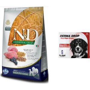 Nd Düşük Tahıllı Kuzu Etli Orta ve Büyük Irk Yetişkin Köpek Maması 12 Kg+  Köpek