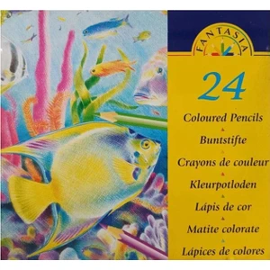 Kuru Boya Kalemi 24'lü