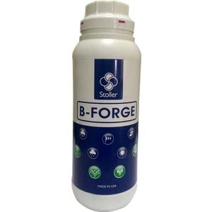 B-Forge