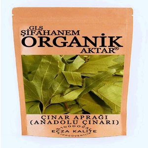 GLŞ Şifahanem Organik Aktar Çınar Yaprağı Çayı 100 gr  ( Bitkisi Kurusu Otu )