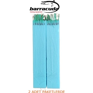 10 Iğneli Ince Takım Köpük Çapari 2 Adet