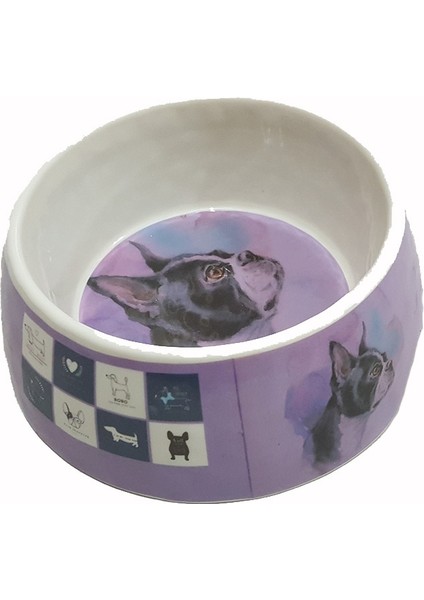 Kedi Köpek Mama ve Su Kabı BO-3153 700 ml Mor