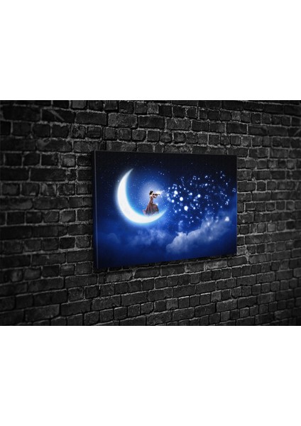 Ayda Serenat Kanvas Tablo