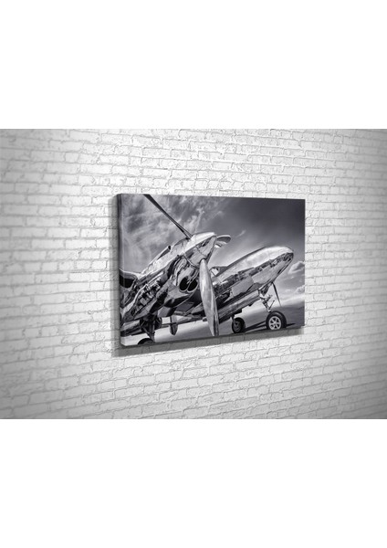 Vintage Uçak Kanvas Tablo fiyatları