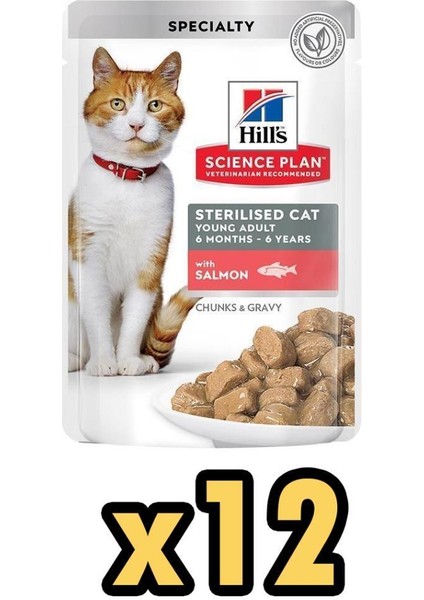 Hill's Gravy Somonlu Kısırlaştırılmış Pouch Kedi Maması 85 gr 12'li