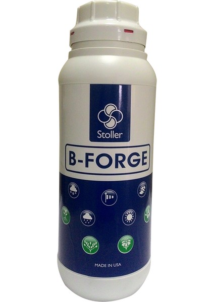 B-Forge