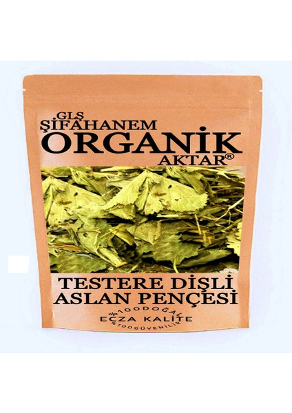 Aslan Pençesi Çayı 100 gr Testere Dişli Aslan Pençesi