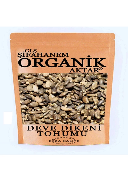 GLŞ Şifahanem Organik Aktar Deve Dikeni Tohumu 100 gr  Yağı Alınmamış