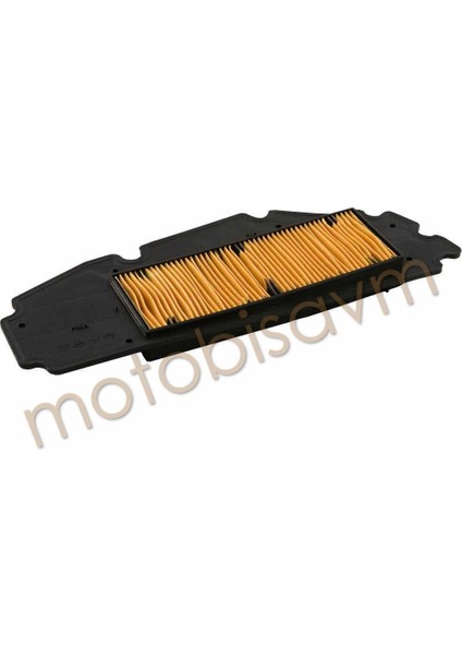 Hava Filtre Elemanı [sym Gts 250]