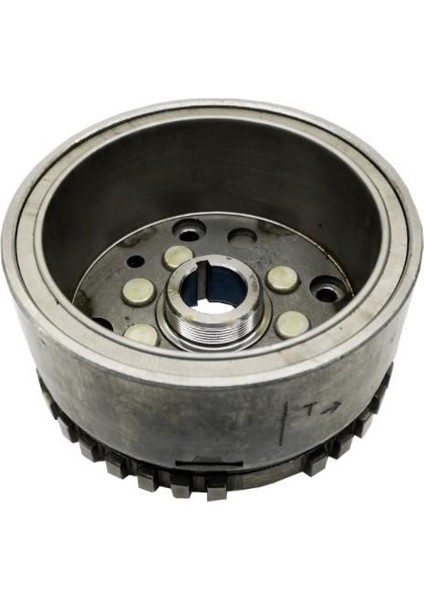 Msr-Ns 200 Rotor