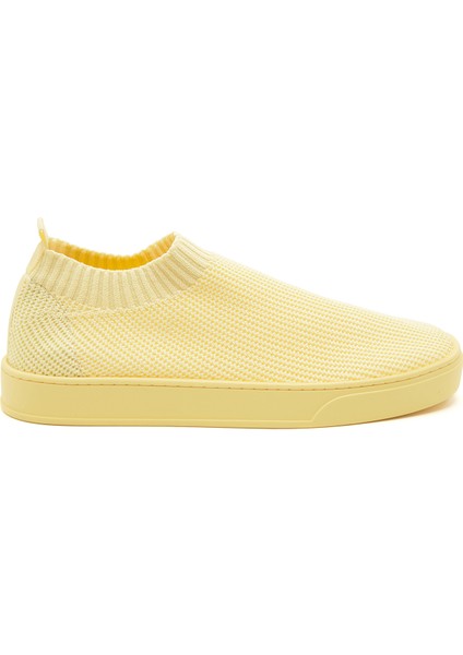 Ciego Kadın Çorap Sneaker fırsatları