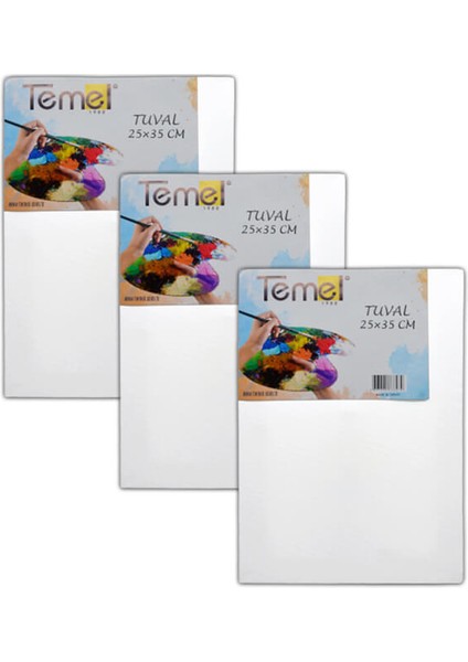 Tuval 25 x 35 cm 3’lü