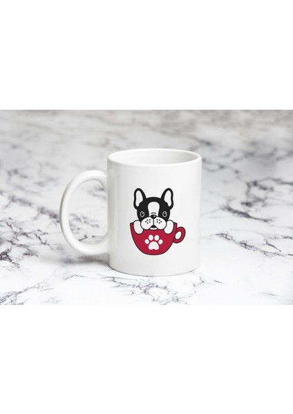 Kupada Köpek Kupa Bardak