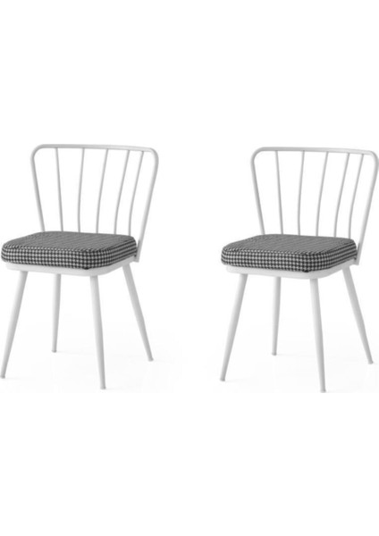 Modern Mutfak Cafe Bahçe Sandalyesi Buse 2 Li Set
