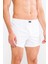 Erkek Beyaz Boxer 1