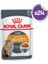 Intense Beauty Yetişkin Kedi Konservesi 85GR 24 Adet 1