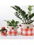 Plaidlove Serisi Orangeplaid 3lü Kumaş Saksı Kılıfı Seti 2
