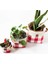 Plaidlove Serisi Redplaid 3lü Kumaş Saksı Kılıfı Set 1