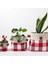 Plaidlove Serisi Redplaid 3lü Kumaş Saksı Kılıfı Set 3