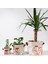 Naturelove Serisi Moss 3lü Kumaş Saksı Kılıfı Seti 3