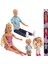 105738565 Aile Bebe Xl Family Box 24-Dp steffi, Kevin, Evi And Timmy Nin Büyük 1