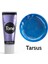 Tone Pearl Tarsus Sedef Epoksi Pigment Renklendirici 25 ml 1