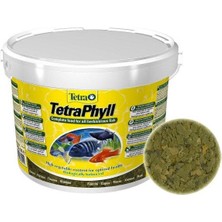 Tetra Phyll