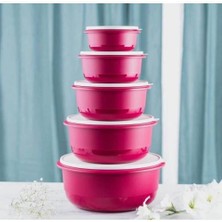 Tupperware Mega Miksim 5'li Tam Set Fuşya Özel Kapak