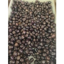 Zeytin Cenneti 5 kg Karaelmas Zeytin 230-260